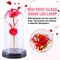 Preserved Rose in Glass Dome with LED Lights Elegant Gift Décor